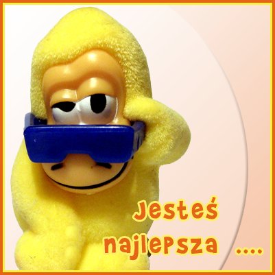 jesteś